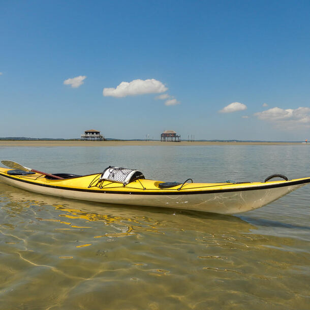 Canoë-Kayak avec la Maison de la Nature du Bassin d’Arcachon
